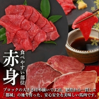 都城産馬肉 赤身ブロック 総重量600g!_AC-0112