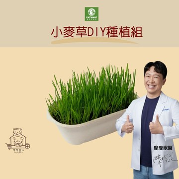 【動物醫院直送】免運隔日配 台灣有機種植 貓咪旺農場 小麥草DIY種植組 天然化毛食品 綠色營養 貓蔬菜