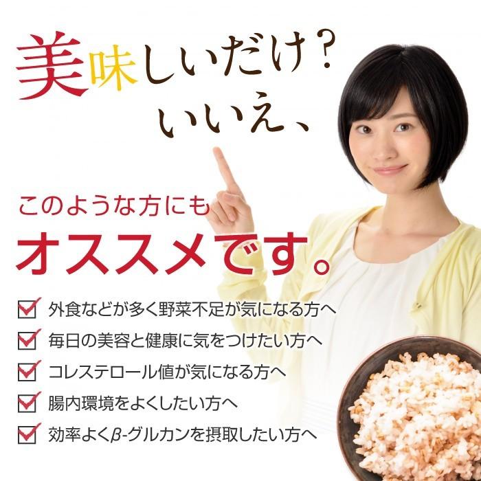 もち麦 もちむぎ 300g 無農薬 無肥料 自然栽培 ダイシモチ 宮崎県産 食物繊維