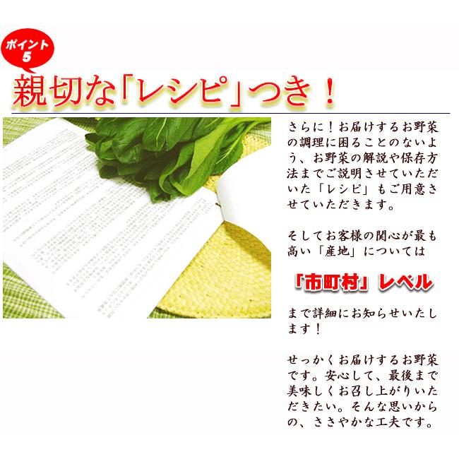 野菜セット たまご 同梱可 とれたて野菜 ８種類セット 高知産 レシピ・追加機能 送料無料 [Qv10] 詰め合わせ クール便 新鮮 葉物 根菜 香味