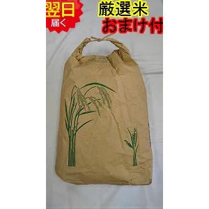 静岡県　地域厳選　コシヒカリ 玄米30kg(精米無料) 　送料無料 ※北海道、沖縄は追加送料かかります。