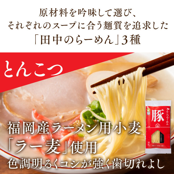 福岡 製麺所 直送 「田中の麺家 お試しセット」 あんかけトマトうどん 選べる ラーメン 豚骨 醤油 塩 お取り寄せ 郷土 料理 創作 麺 料理