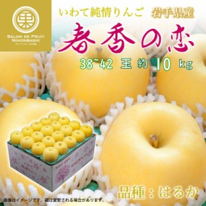 [予約 12月1日-12月31日の納品]  春香の恋 りんご はるか 約10kg 38-42玉 岩手県産 ハルカ 希少品種 高糖度 甘いりんご 林檎 箱買い ご贈