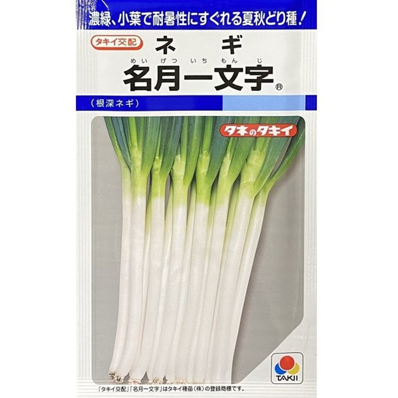 ネギの種 元蔵 小袋 野菜の種 約７ｍｌ