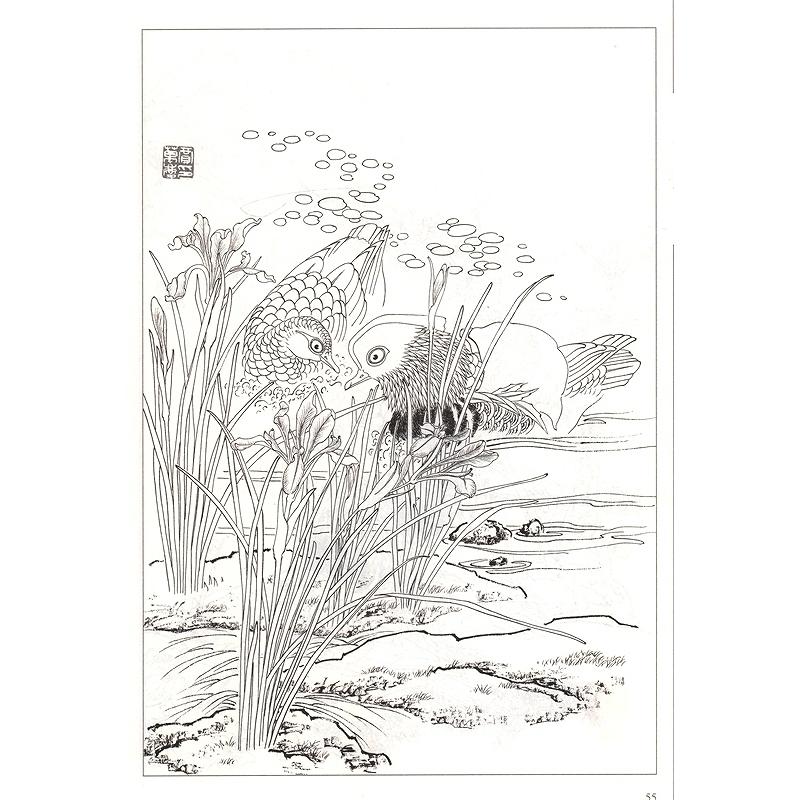 花鳥画譜　中国画線描　中国画譜　大人の塗り絵　中国絵画 花#40479;画#35889;　中国画#32447;描