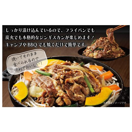 ふるさと納税 大阪府 泉佐野市 味付け ジンギスカン 500g 2人前 小分け 250g×2袋 羊肉 ラム 焼肉 バーベキュー 冷凍パック