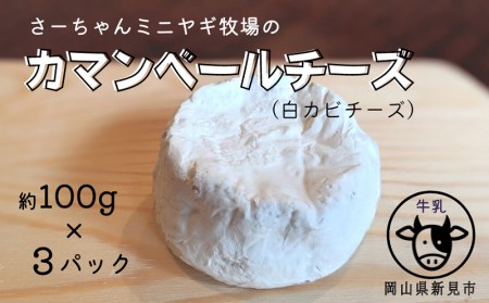 カマンベールチーズ 約100g×3パック