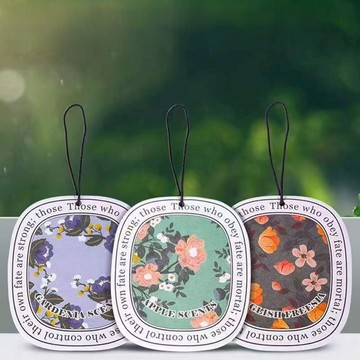 🔥台灣現貨24H秒出🔥清新車用芳香片 車用芳香片 香氛掛片 車內香片 吊飾香氛 車上清香片 花香香片 車用清新片 芳香片