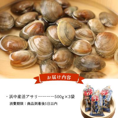 ふるさと納税 浜中町 浜中産　活アサリ500g×3袋セット