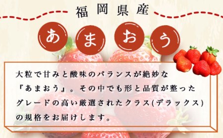 あまおうデラックス（4パック）先行予約※2024年2月上旬から4月上旬にかけて順次出荷予定　MY002