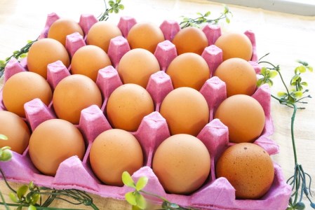 新鮮 卵 京都・丹波の赤たまご 120個（100個＋割れ保障20個）×6ヶ月 計720個 《生卵 たまご 鶏卵 小分け 半年間》