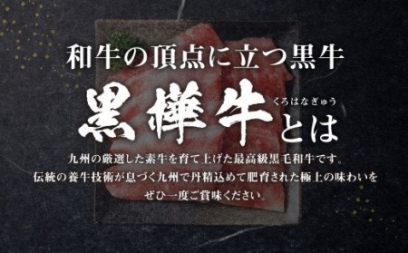 くまもと黒毛和牛 杉本本店 黒樺牛 A4~A5等級 焼肉用カルビ 300g