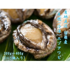 　天然エゾアワビ(300g～400g)