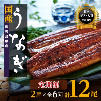 ふるさと納税 大崎町 おさきうなぎ鹿児島県産うなぎ長蒲焼2尾(全6回)合計12尾