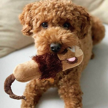 迷你嗶波猴子 雙頭啾啾叫 寵物玩具