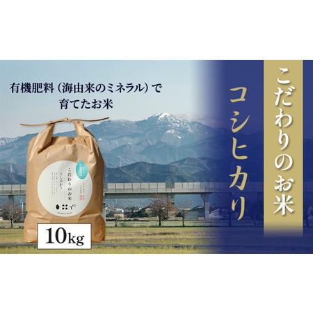 ふるさと納税 北本農場 「こだわりのお米」 令和5年度産　精米 10kg 石川県能美市