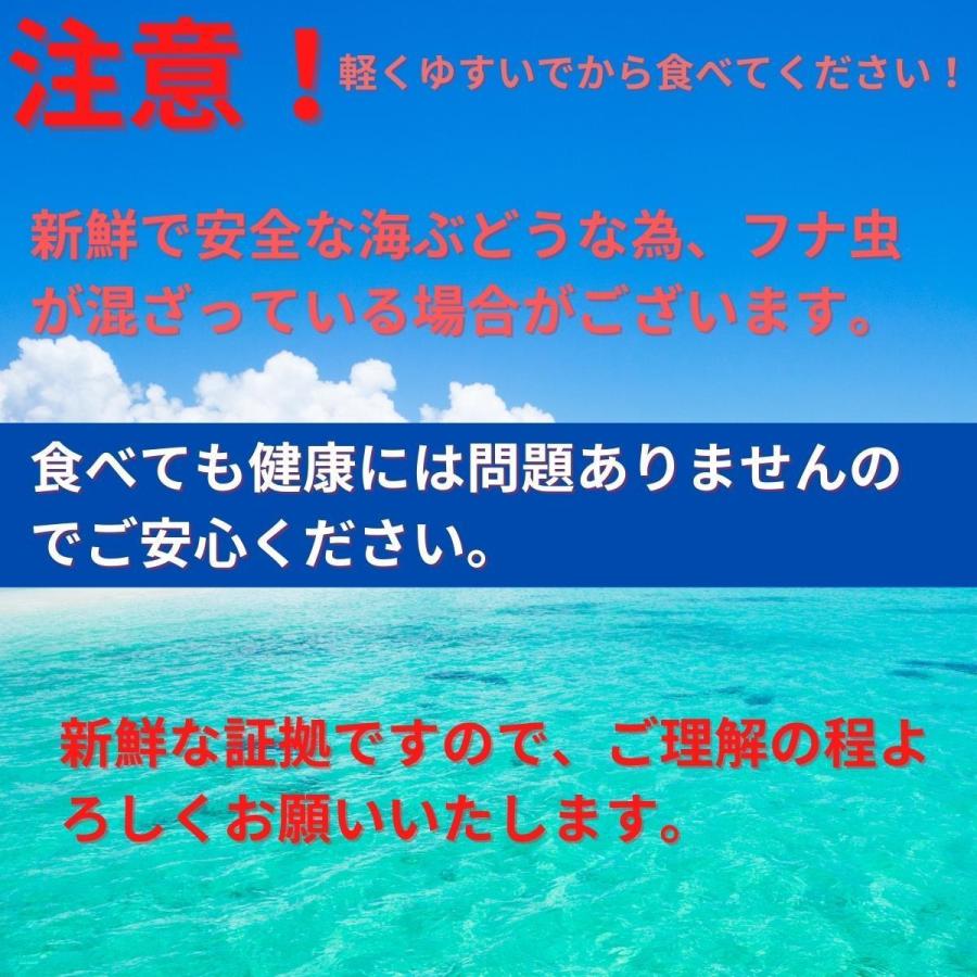 送料無料 海ぶどう 沖縄県産 海ぶどう タレ付き A級品大粒 海洋深層水で育てた ポイント消化 食品 おすすめ