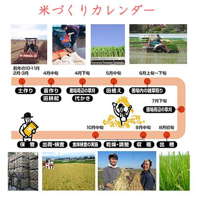 ふるさと納税 登米市 2024年1月発送開始『定期便』宮城県登米市産つや姫(玄米)30kg　全12回