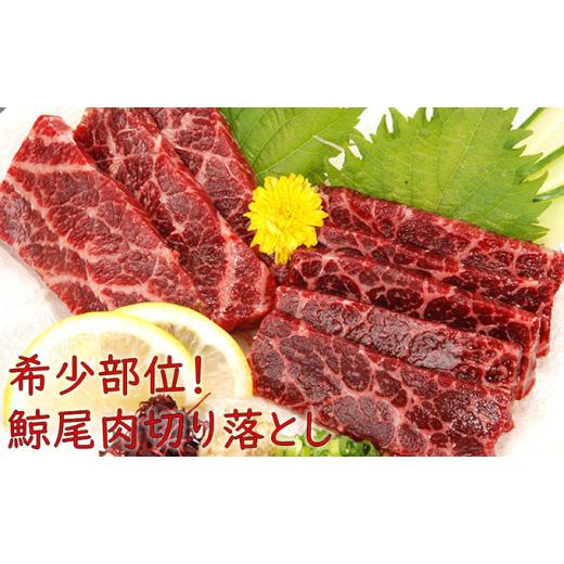 ふるさと納税 千葉県 南房総市 霜降り鯨肉／熟成尾肉（尾の身）切り落とし500g mi0012-0045