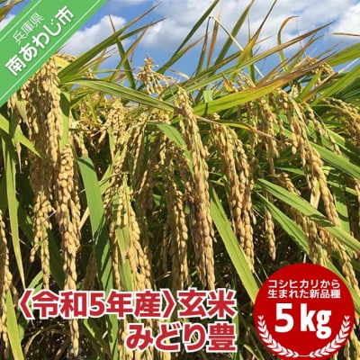 令和5年産・玄米『みどり豊』5kg