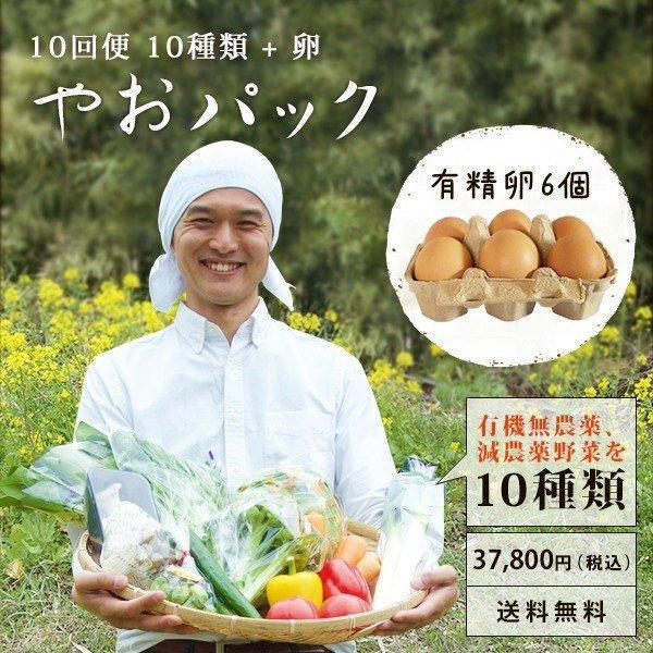 野菜セット やおパック 10回便　10種類と卵　毎週または隔週お届け　送料無料