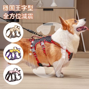 🌈PEt✨寵物胸背帶 狗胸背帶 防掙脫 寵物胸背帶 王字胸背帶 狗牽繩胸背帶 防暴衝胸背帶 反光 小型犬 中型犬