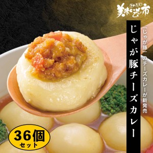 じゃが豚 チーズカレー 36個セット とれたて！美味いもの市