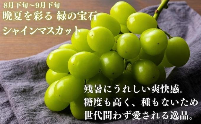 フルーツ 定期便 9回 丸亀のフルーツ 旬のお届け 果物 果物類 シャインマスカット みかん 桃 キウイ ぶどう 厳選 旬 詰め合わせ お楽しみ