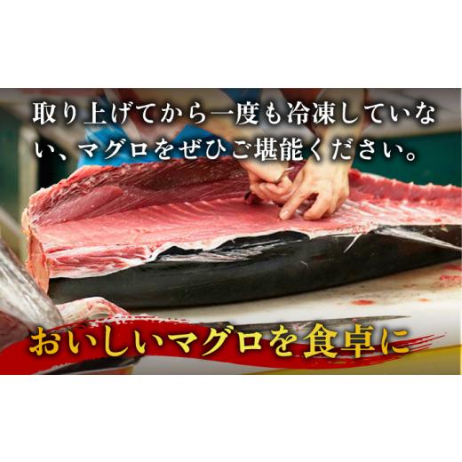 ふるさと納税 長崎県 新上五島町  五島列島産 養殖 生本かみまぐろ 中トロ ブロック 500g【カミティバリュー…