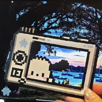 【平價好物】帕恰狗相框拼豆成品 帕恰狗相框拼豆成品 多款可選 多色可選