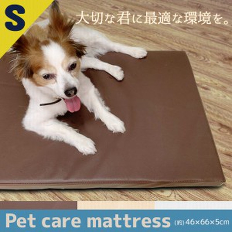 ペットマット 床ずれ 床ずれ防止 マット 介護マット 滑り止め ペット ケアマット マット ペットベッド ペットケア 犬 猫 小型犬 シニア 通販 Lineポイント最大1 0 Get Lineショッピング