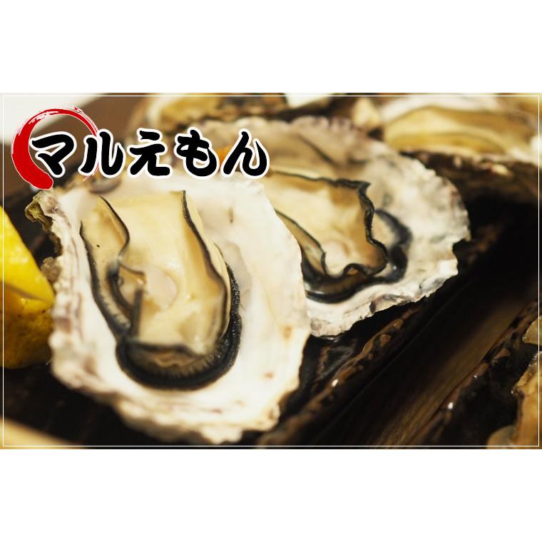 マルえもん(Lサイズ)10個セット 北海道産 牡蠣 カキ 殻付き 生食 お歳暮 ギフト 送料無料