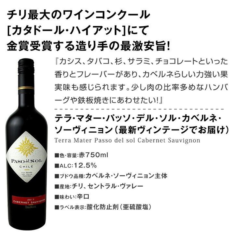 今や輸入量ナンバーワンに輝くチリ 厳選赤ワイン wine ９本セット set