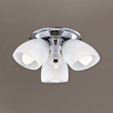 燈罩吸頂三燈 B102-81-23694