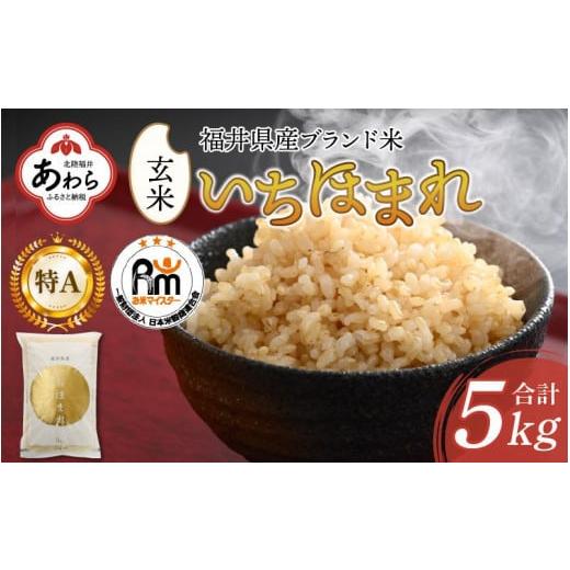 ふるさと納税 福井県 あわら市 いちほまれ 玄米 5kg×1袋《新鮮な高品質米をお届け！》／ 福井県産 ブランド米 ご飯