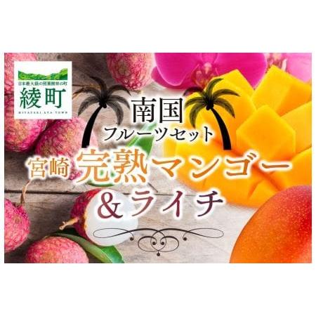 ふるさと納税 完熟 マンゴー ライチ セット 宮崎 高級 果物 フルーツ ギフト 贈答 先行受付 送料無料（14-72） 宮崎県綾町