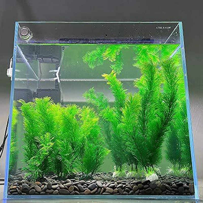 水槽用 人工水草 22 30cm 中 大型水草 レイアウト 水槽 オーナメント 水槽内装 アクアリウム 水槽 飾り 観賞魚 熱帯魚 金魚 爬虫類 隠れ 通販 Lineポイント最大0 5 Get Lineショッピング