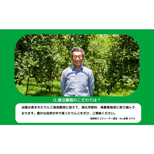 ふるさと納税 長野県 飯綱町 りんご サンふじ 秀 〜 特秀 10kg 渡辺農園 2023年12月上旬頃から2024年1月中旬頃まで順次発送予定 令和5年度収穫分 エコファーマ…