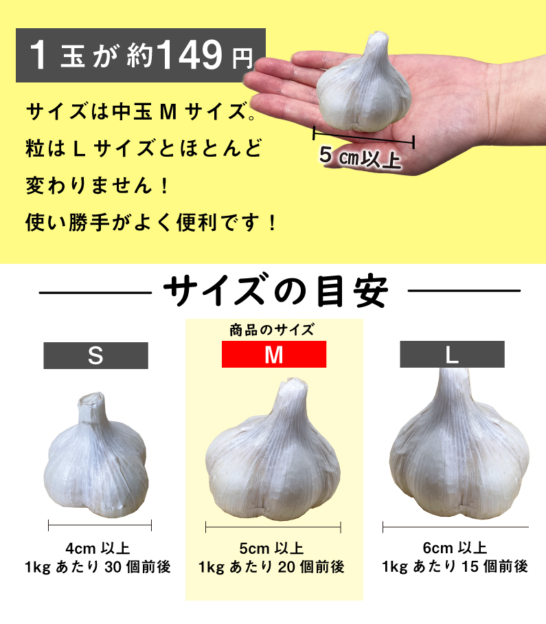 青森 にんにく1kg Mサイズ 約20玉 福地ホワイト6片 国産 ニンニク 新物 送料無料 Y常