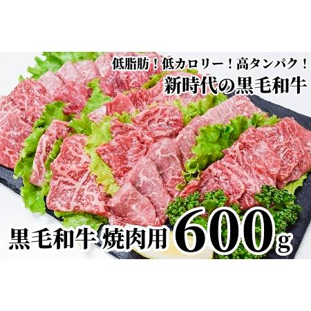 ふるさと納税 076-32 低脂肪で香り豊かな黒毛和牛焼肉用600g 鹿児島県南九州市