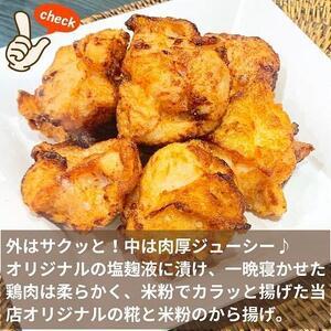 ふるさと納税  塩麹 しょうが?油 から揚げ 和風発酵ピザ   野菜餃子 各種1袋 計5袋 新潟県南魚沼市