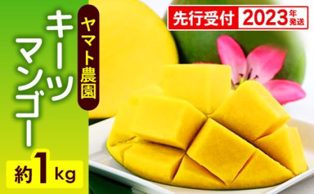 ヤマト農園　キーツマンゴー約1kg