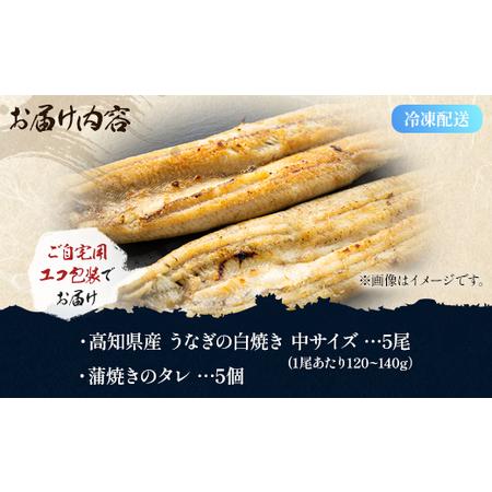 ふるさと納税 吉川水産 高知県産うなぎの白焼 中サイズ(120〜140g)×5尾 タレ付き 自宅用エコ包装 yw-0047 高知県香南市