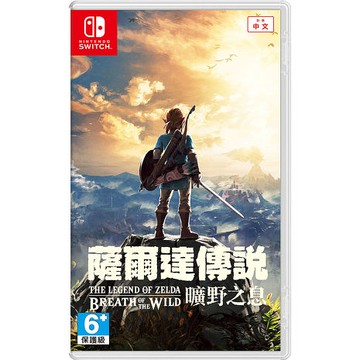 NS 任天堂 Switch 薩爾達傳說：曠野之息 中文版