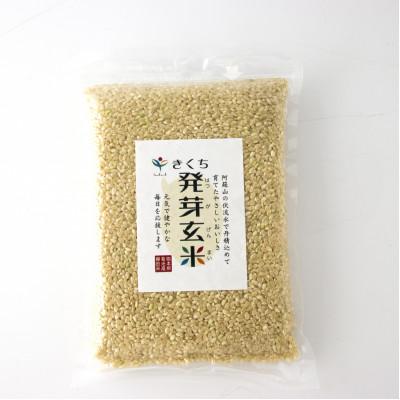 ふるさと納税 菊池市 きくち発芽玄米500g