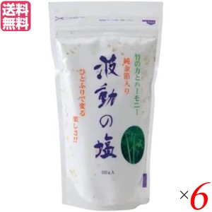 塩 天日塩 天然塩 波動の塩 450g 6袋セット 純金箔入り 送料無料