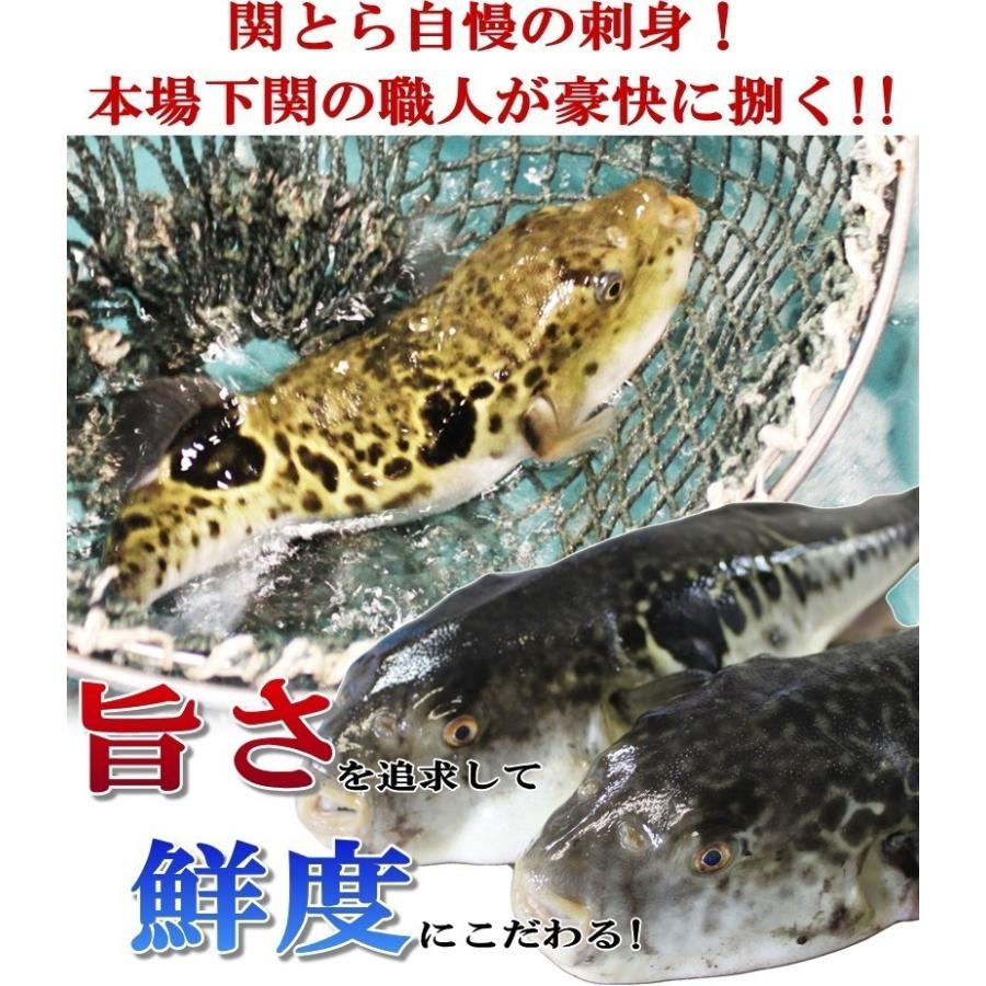 お歳暮 2023 ギフト ふぐ 鍋 海と丘の豚しゃぶ食べ比べ(2-3人前) 送料無料 お取り寄せ 山口 海鮮 御祝 グルメ