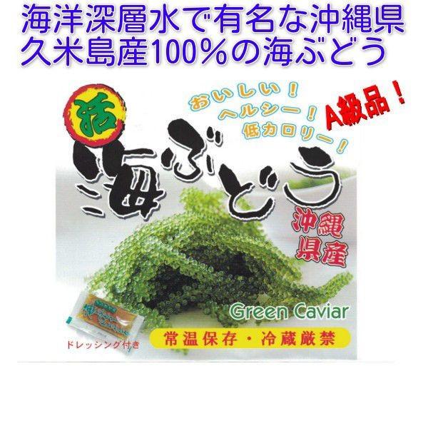 みやぎ商店 久米島産海ぶどう100g×1個 海ぶどう 沖縄 海洋深層水 で有名な久米島産海ぶどう100％ ポイント消化 食品 おすすめ