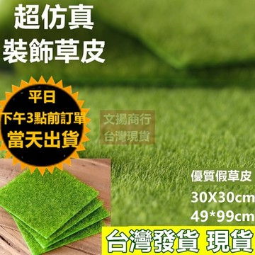嘉義現貨 模型草皮 公仔拍照草皮 超仿真人工草皮  假草皮 攝影拍照草皮 仿真草皮 人造草皮
