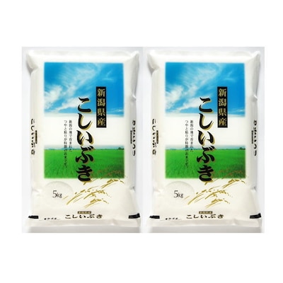 令和5年産新米！新潟県産こしいぶき10kg 米 コシヒカリに負けない美味しさ米どころの新品種！